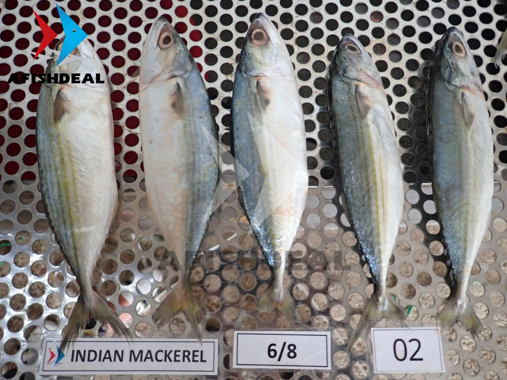 LOADING REMARKS 29 JULY